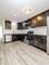 924 S Springfield, Chicago, IL 60624