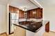 801 S Plymouth Unit 616, Chicago, IL 60605