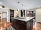 56 Birchwood, Deerfield, IL 60015
