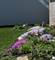 5717 Breezeland, Carpentersville, IL 60110