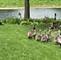 5717 Breezeland, Carpentersville, IL 60110