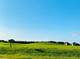 15751 S Stonewall, Newark, IL 60541