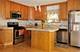 1116 Ostrander, La Grange Park, IL 60526