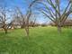 Lot 7 Hickory Nut Grove, Cary, IL 60013