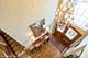 909 Red Oak, Western Springs, IL 60558