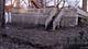 339 Onarga, Park Forest, IL 60466