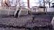 339 Onarga, Park Forest, IL 60466
