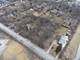 7445 Willow Springs, Countryside, IL 60525