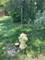 3501 Beckwith, Crete, IL 60417