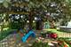 1104 E Irving Park, Itasca, IL 60143
