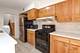 1325 E 55th, Chicago, IL 60615