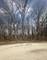 12932 Carrington, New Lenox, IL 60451