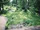 121 N Parkside, Glen Ellyn, IL 60137