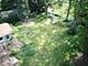121 N Parkside, Glen Ellyn, IL 60137