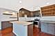 1221 N Dearborn Unit 803S, Chicago, IL 60610