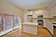 353 E Eastgate, Chicago, IL 60616