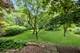 2101 Thorntree, Palatine, IL 60067