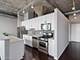 1550 S Blue Island Unit 1125, Chicago, IL 60608