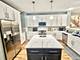 720 Telluride, Vernon Hills, IL 60061
