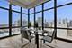 212 E Cullerton Unit PH P11, Chicago, IL 60616