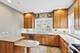 646 N Euclid, Oak Park, IL 60302
