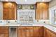 646 N Euclid, Oak Park, IL 60302