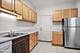 524 Washington, Oak Park, IL 60302