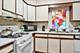 524 Washington, Oak Park, IL 60302