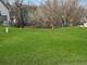 10 S Maple, Fox Lake, IL 60020