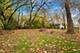 15731 St Louis, Markham, IL 60428
