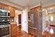 1233 Diane, Elk Grove Village, IL 60007