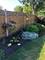 1233 Diane, Elk Grove Village, IL 60007