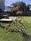 1233 Diane, Elk Grove Village, IL 60007