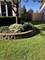 1233 Diane, Elk Grove Village, IL 60007