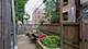 1301 W Addison Unit 3, Chicago, IL 60613