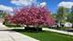 810 Dorncliff, Buffalo Grove, IL 60089