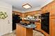 10709 Hollow Tree, Orland Park, IL 60462