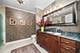 450 E Waterside Unit 802, Chicago, IL 60601