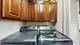 169 S Greeley, Palatine, IL 60067