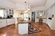 37202 Black Velvet, Wadsworth, IL 60083