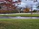 37202 Black Velvet, Wadsworth, IL 60083