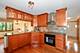 17539 Mulberry, Tinley Park, IL 60487