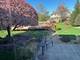 17539 Mulberry, Tinley Park, IL 60487