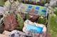 2870 Keystone, Northbrook, IL 60062