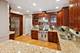 910 W Roscoe Unit 2, Chicago, IL 60657