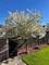 1911 N 73rd, Elmwood Park, IL 60707