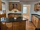 1911 N 73rd, Elmwood Park, IL 60707
