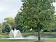 1800 Westbrook, Plainfield, IL 60586