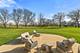 1003 Prestwick, Frankfort, IL 60423