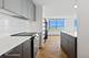 474 N Lake Shore Unit 4105, Chicago, IL 60611